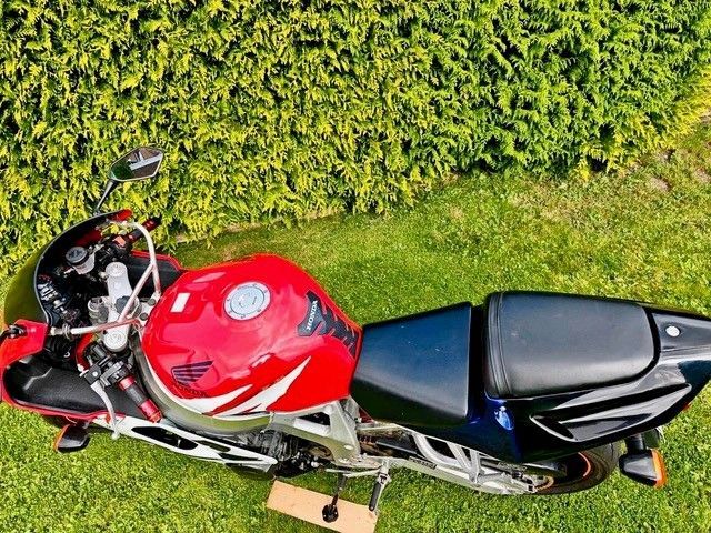 Rot-schwarzes Sportmotorrad auf grünem Gras, nach links gerichtet.