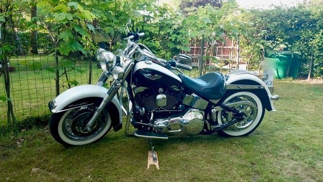 Ein schwarz-weißes Cruiser-Motorrad steht auf einer Rasenfläche in einem Garten.