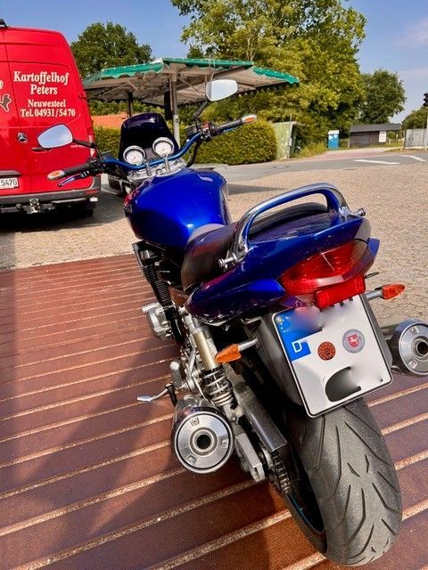 Blaues Sportmotorrad, geparkt auf einer Holzterrasse neben einem roten Lieferwagen, Ansicht von hinten.