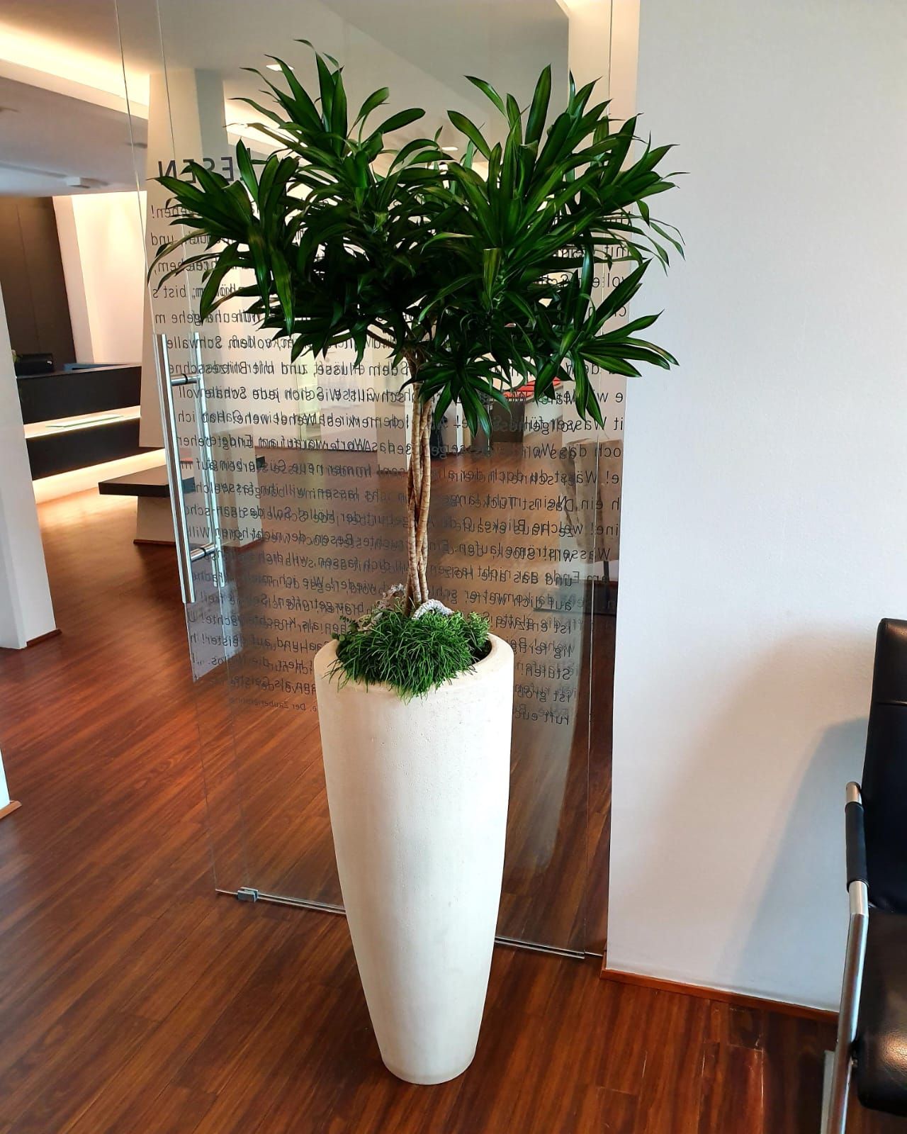 Gefäße & Innenraumbegrünung