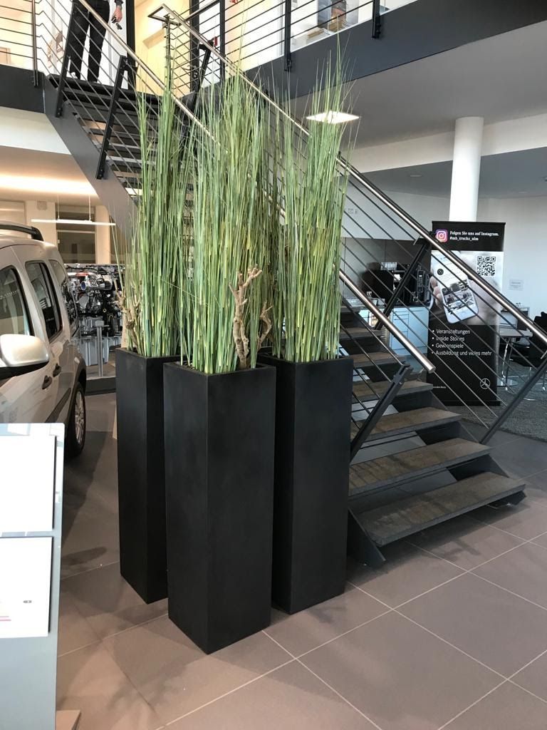 Gefäße & Innenraumbegrünung