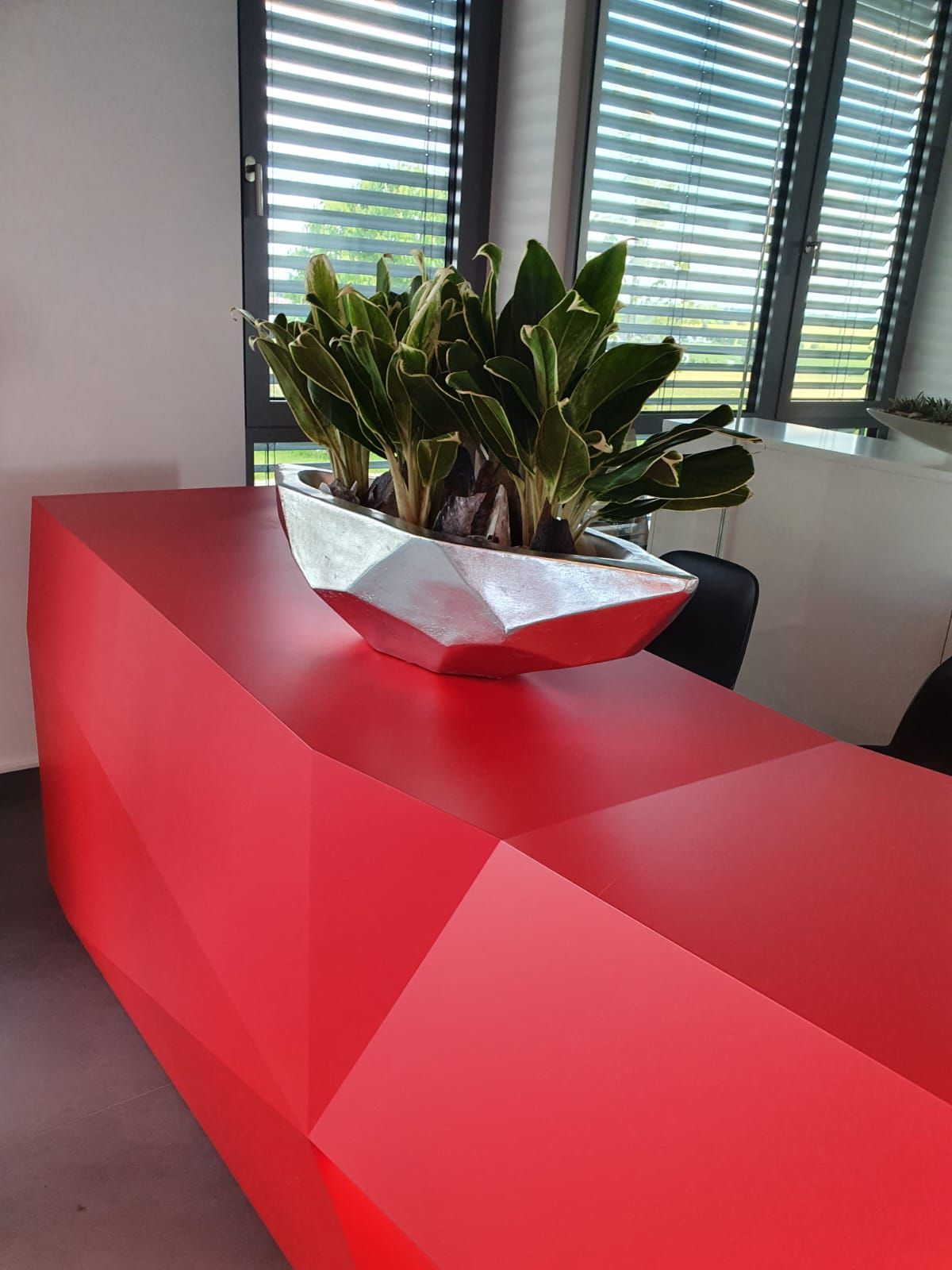 Gefäße & Innenraumbegrünung