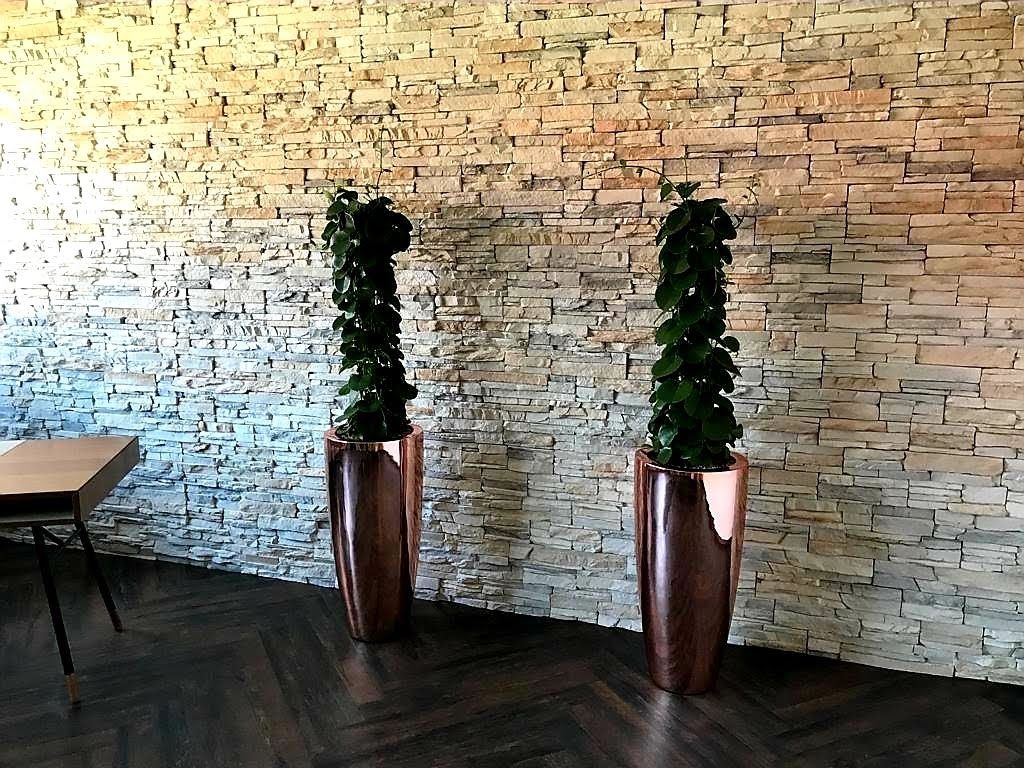 Gefäße & Innenraumbegrünung