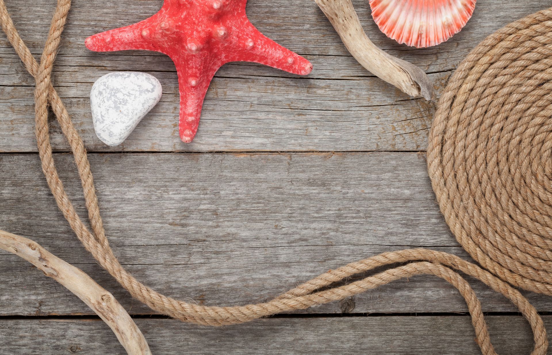 Una mesa de madera cubierta con cuerdas, estrellas de mar, conchas y madera flotante.