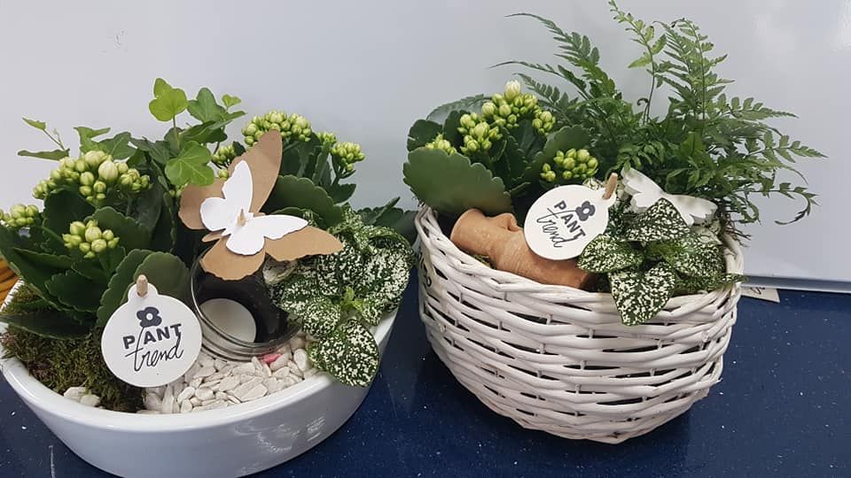Dos cestas llenas de plantas y una etiqueta que dice 