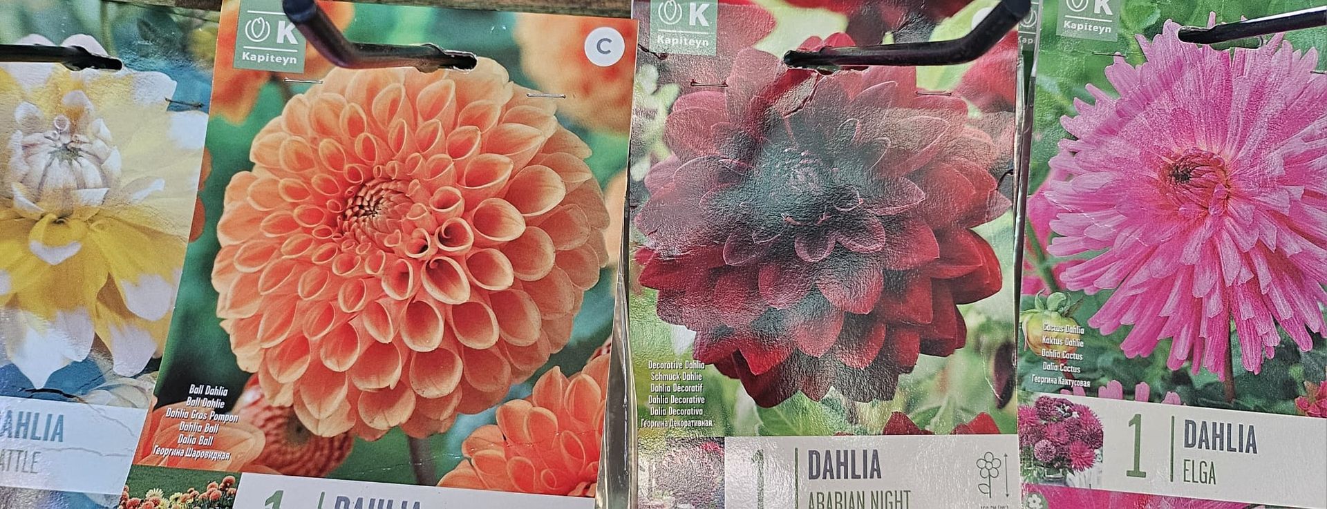 Un ramo de flores de diferentes colores está sobre una mesa.