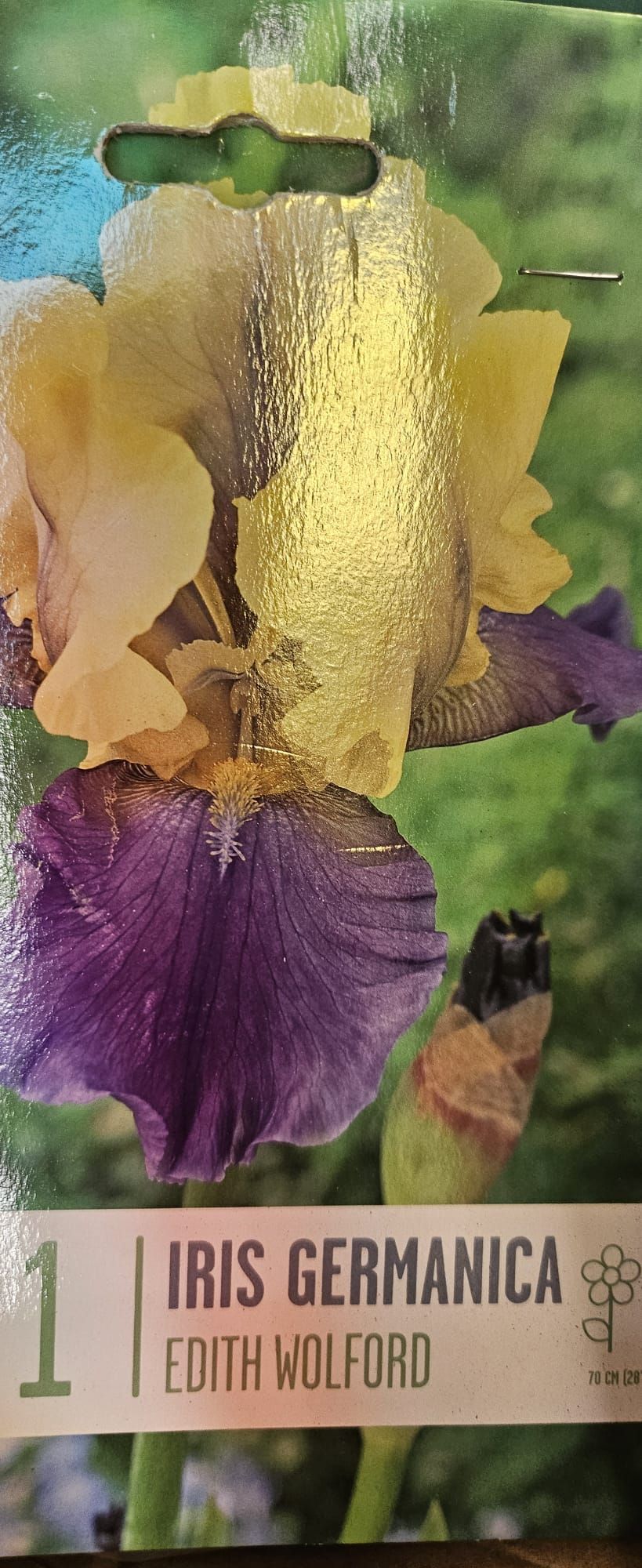Un primer plano de una flor morada y amarilla en un paquete.
