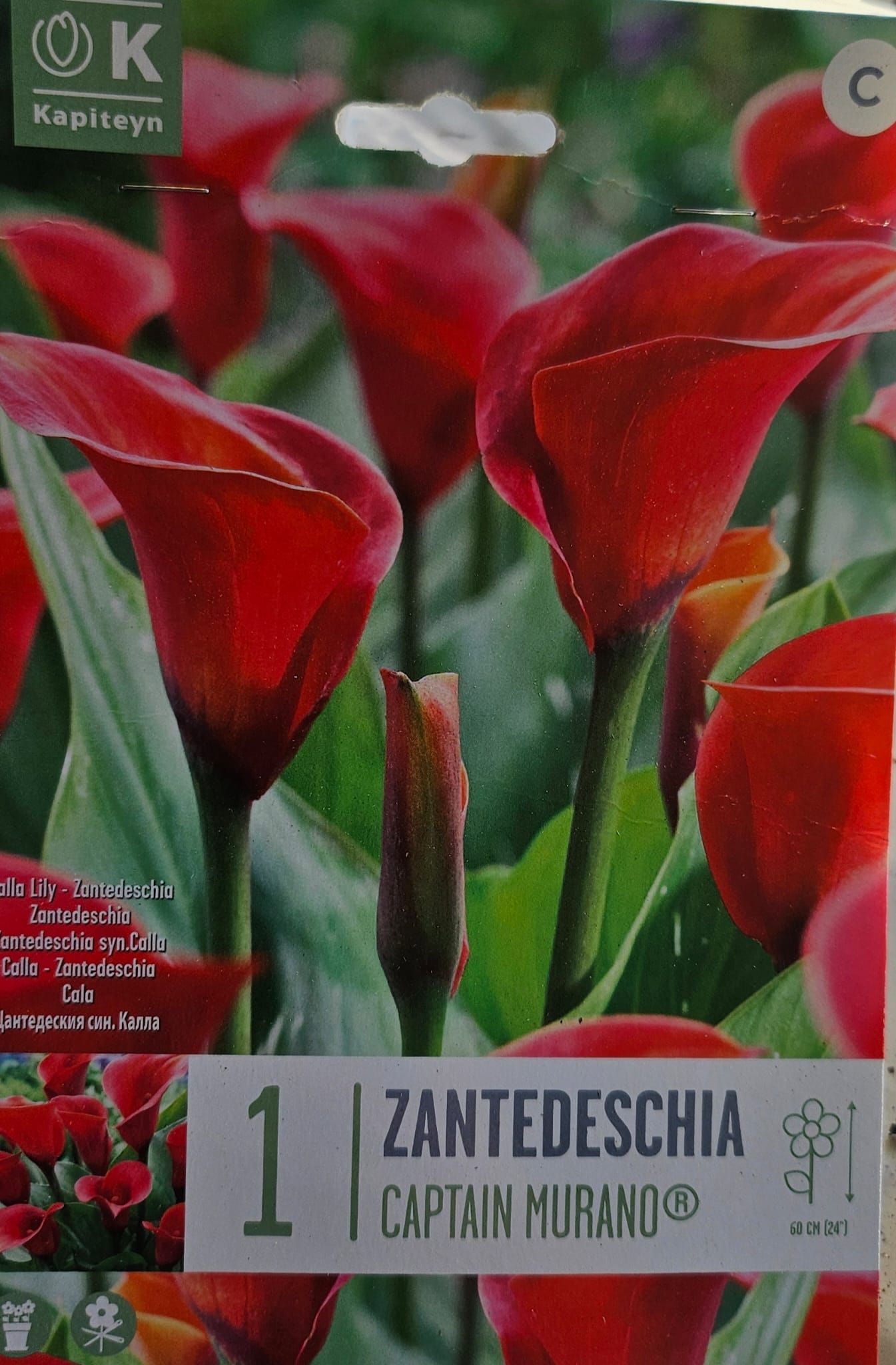 Un paquete de flores rojas de zantedeschia capitán murano