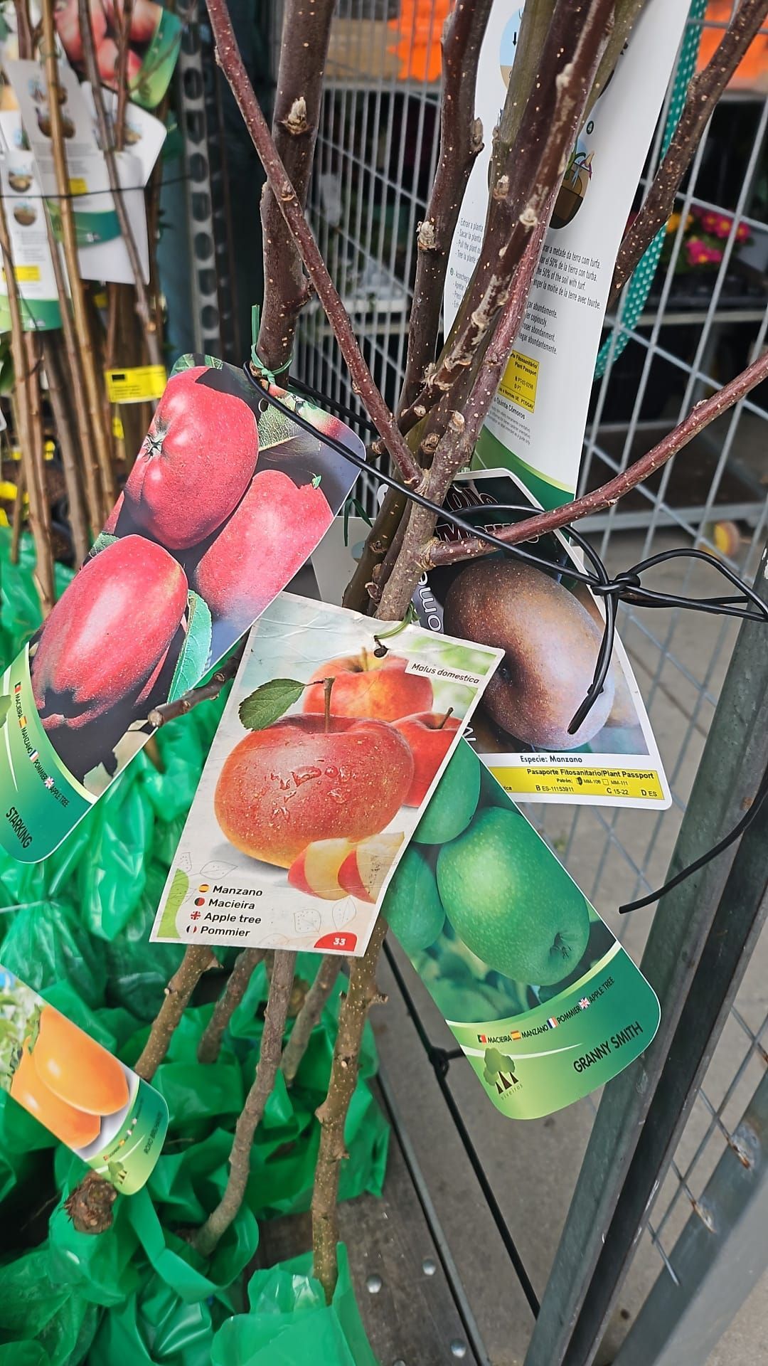 Un árbol con un montón de cartas adheridas a él.