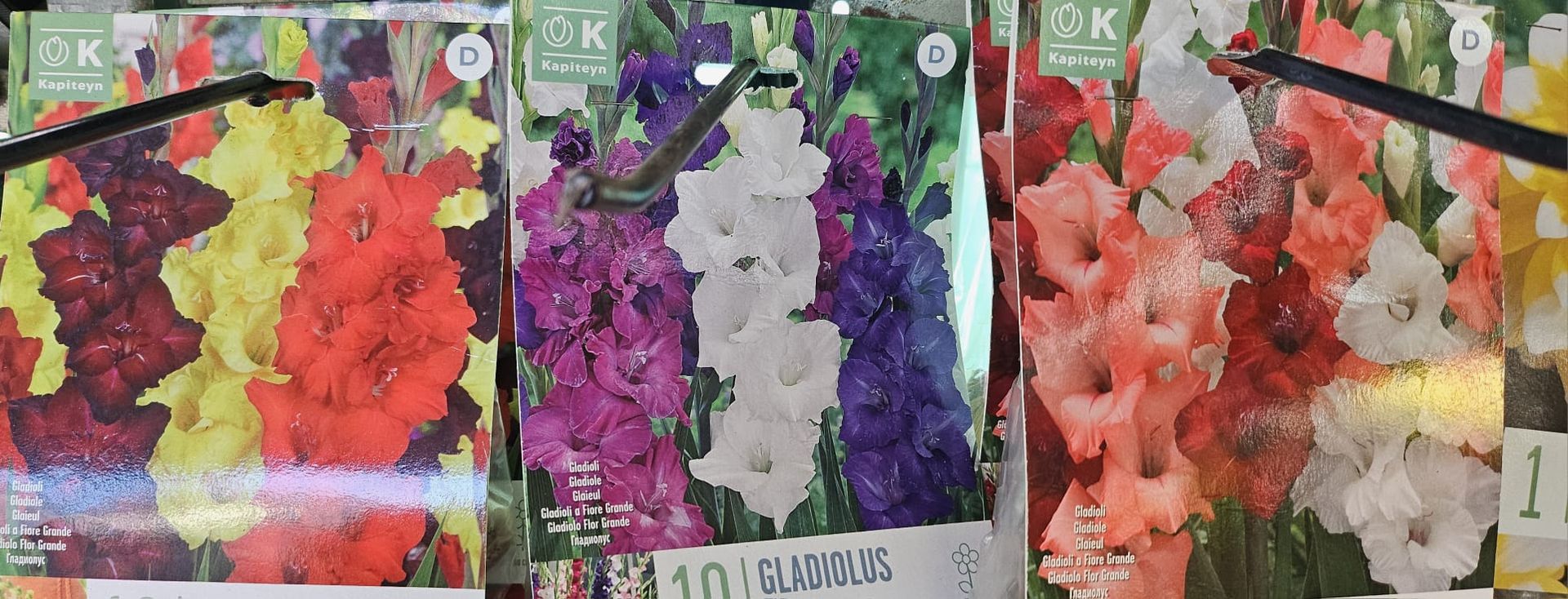 Tres bolsas de flores están una al lado de la otra en una mesa.