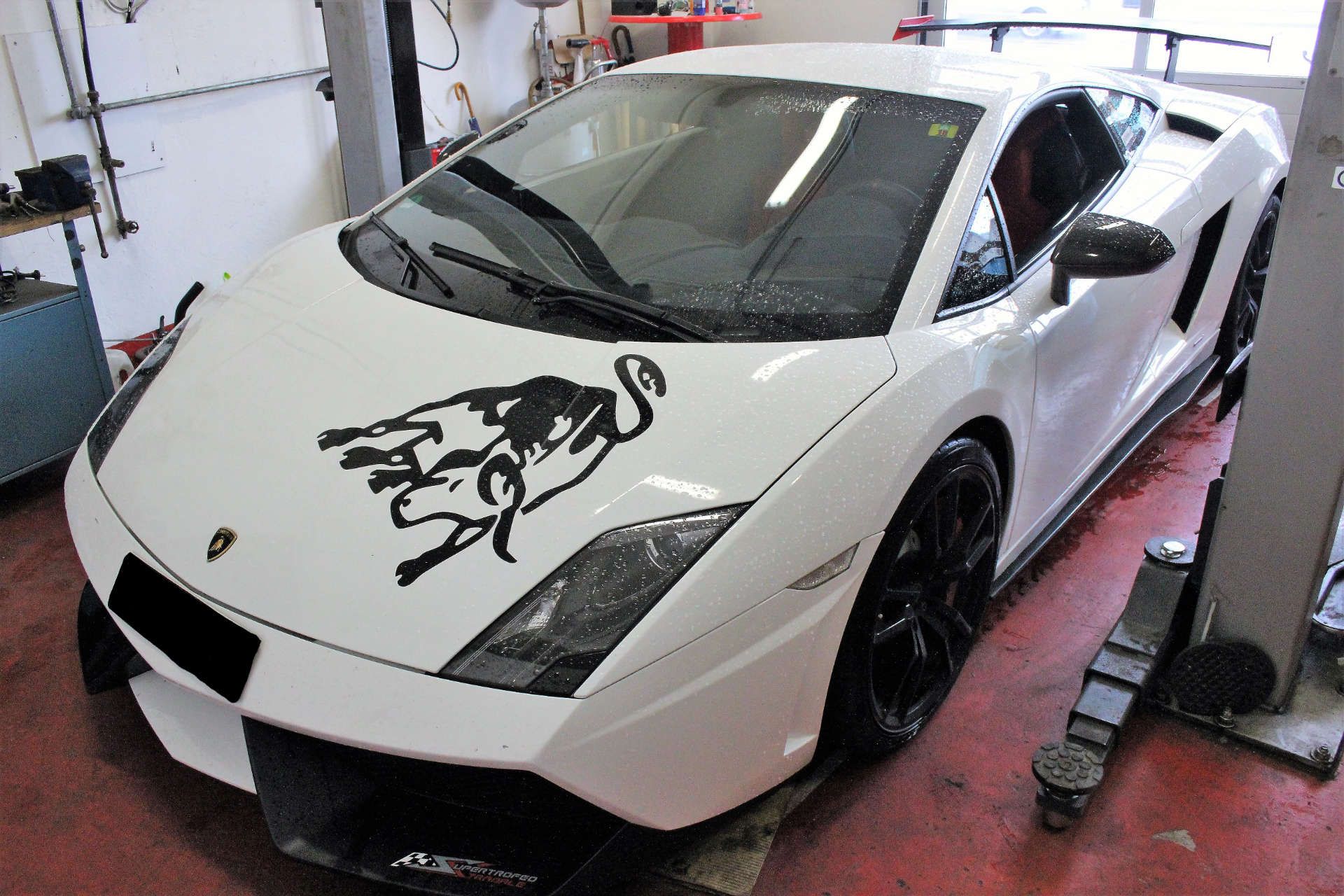 Weißer Lamborghini-Sportwagen mit schwarzem Flammen-Stier-Logo auf der Motorhaube, schwarzer Felgen.