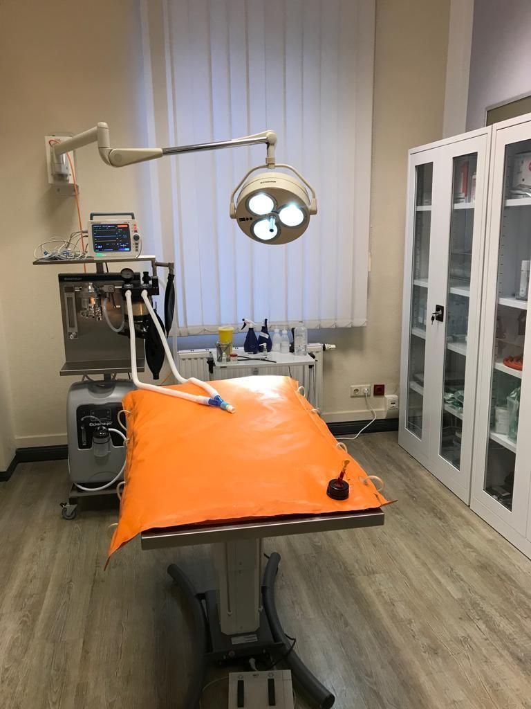 OP Kleintierpraxis Dr. med. vet. Anne Arnold Bochum