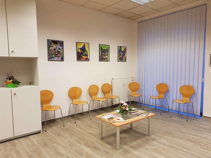 Wartezimmer Kleintierpraxis Dr. med. vet. Anne Arnold Bochum