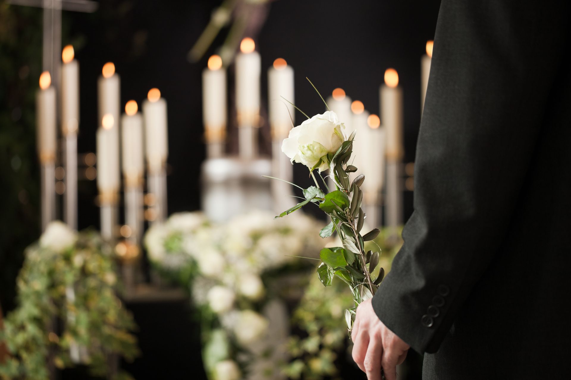 Une personne tient une rose blanche