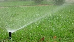 Un aspersor está rociando agua sobre un césped verde y exuberante.