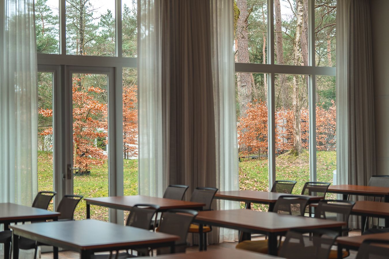 Een conferentieruimte met stoelen en een projectiescherm.