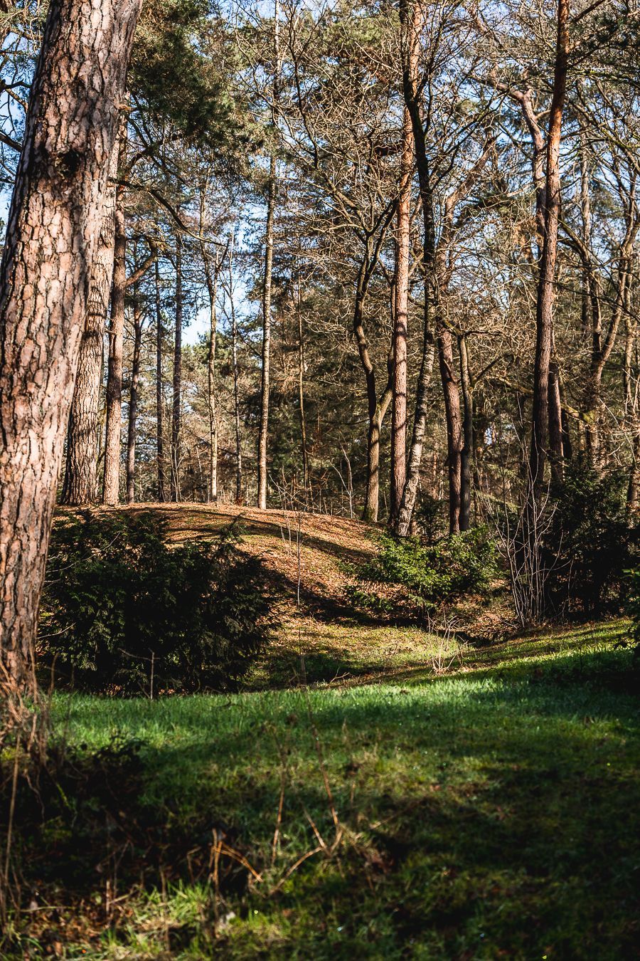 Utrechtse Heuvelrug, den Treek, Landgoed ISVW