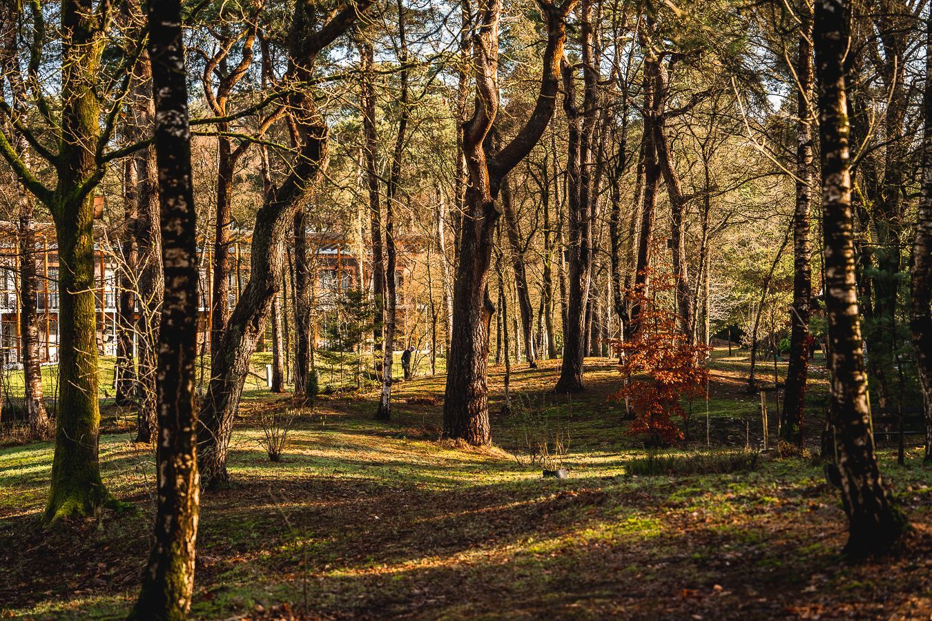 Utrechtse Heuvelrug, den Treek, Landgoed ISVW