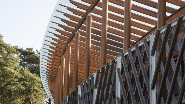 Een close-up van een houten constructie met bomen op de achtergrond.