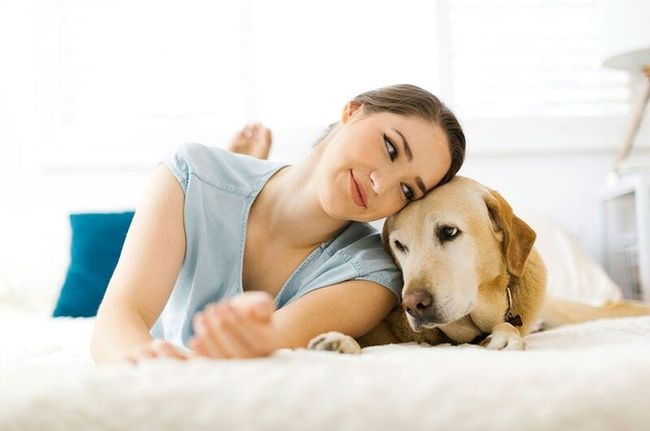 Mulher com cachorro marrom claro deitada na cama, sorrindo, com o cachorro apoiando a cabeça nela.
