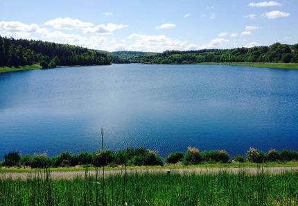 Ein großer See, umgeben von Bäumen und Gras an einem sonnigen Tag