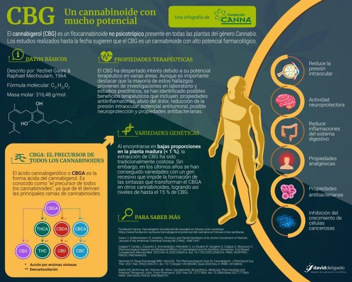 Un cartel informativo sobre el CBG en español.