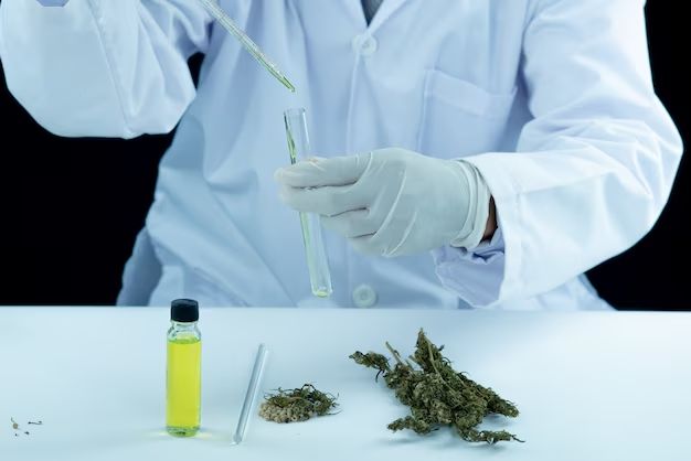 Un técnico de laboratorio, vestido con bata blanca y guantes, utiliza un cuentagotas para transferir líquido a un tubo de ensayo situado junto a cogollos de cannabis.