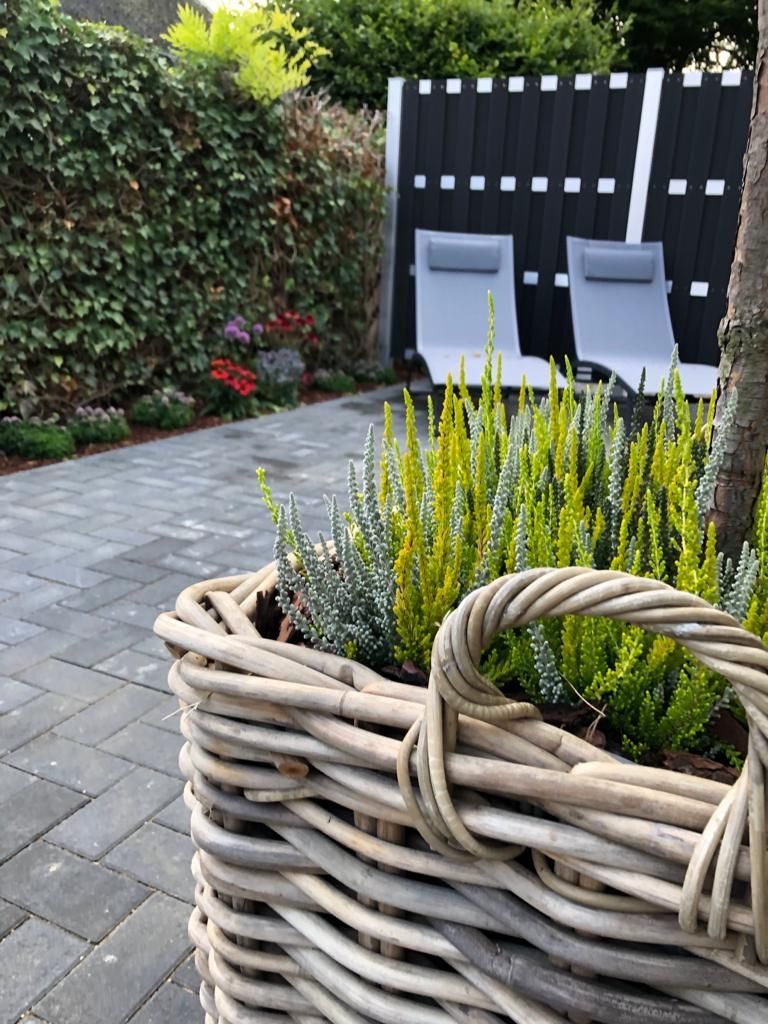 Auf einer Terrasse steht ein mit Pflanzen gefüllter Weidenkorb.