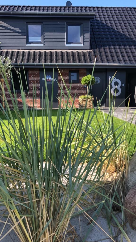 Eine Nahaufnahme einer Pflanze vor einem Haus.