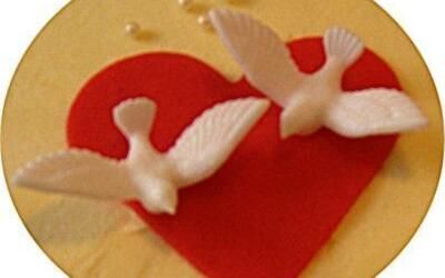 Zwei weiße Vögel sitzen auf einem roten Herzen