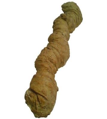 Eine Nahaufnahme von einem Stück Brot auf weißem Hintergrund