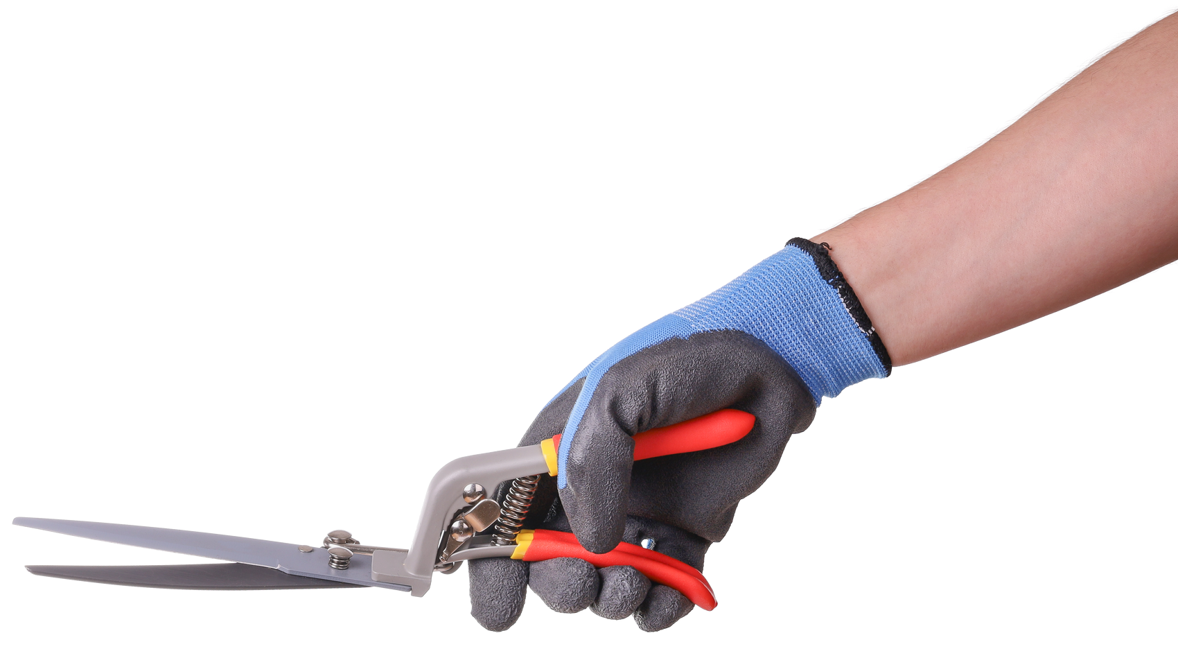 Photo détourée d'une main tenant un sécateur