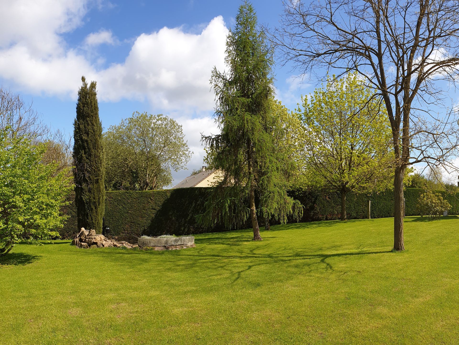 Photo d'une pelouse tondue