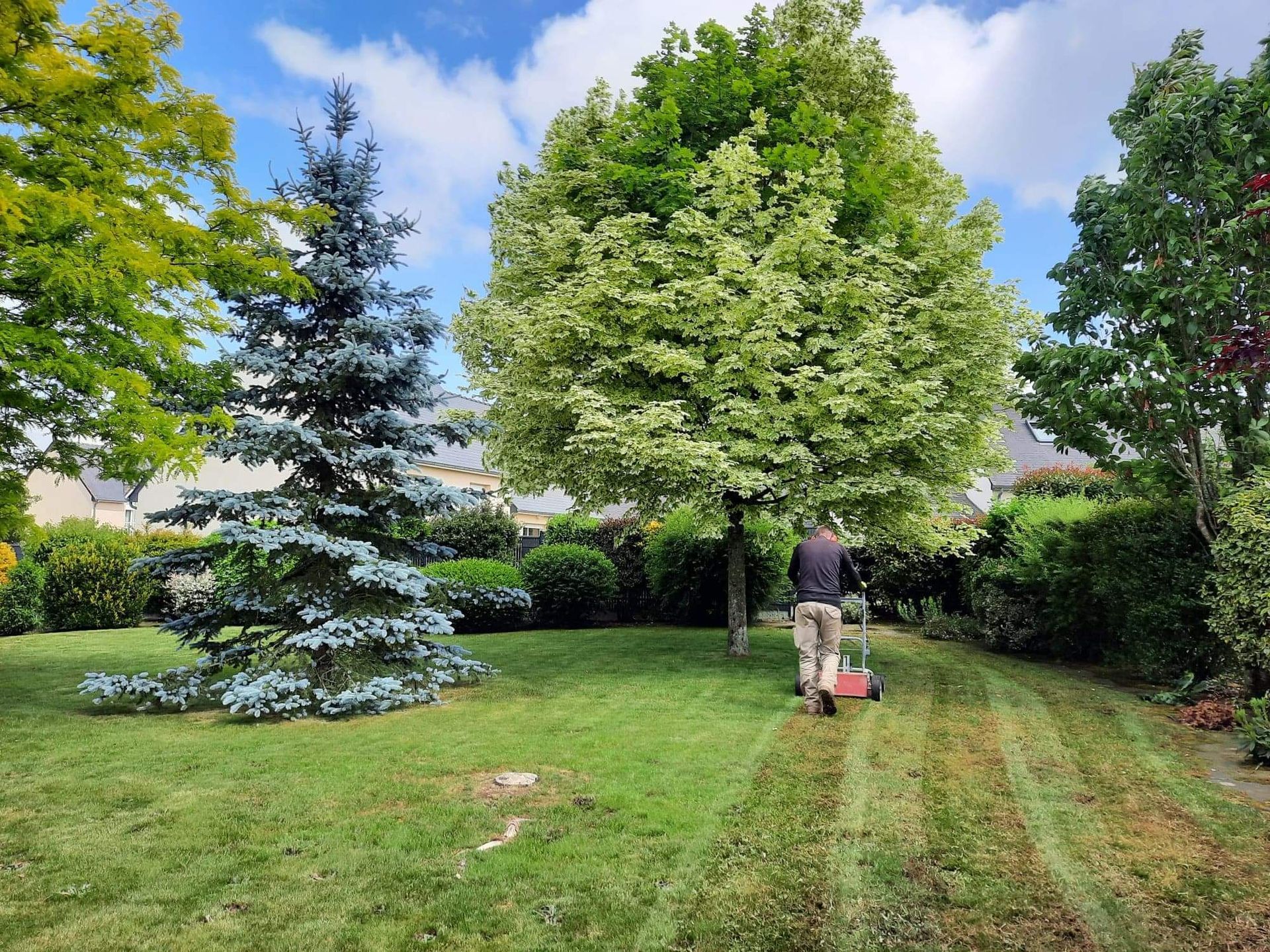 Photo d'une scarification de pelouse
