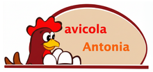 Avícola Antonia
