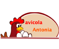 logotipo cabecera