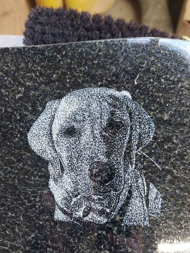 Ein Schwarzweißfoto eines Hundes auf einer schwarzen Oberfläche.