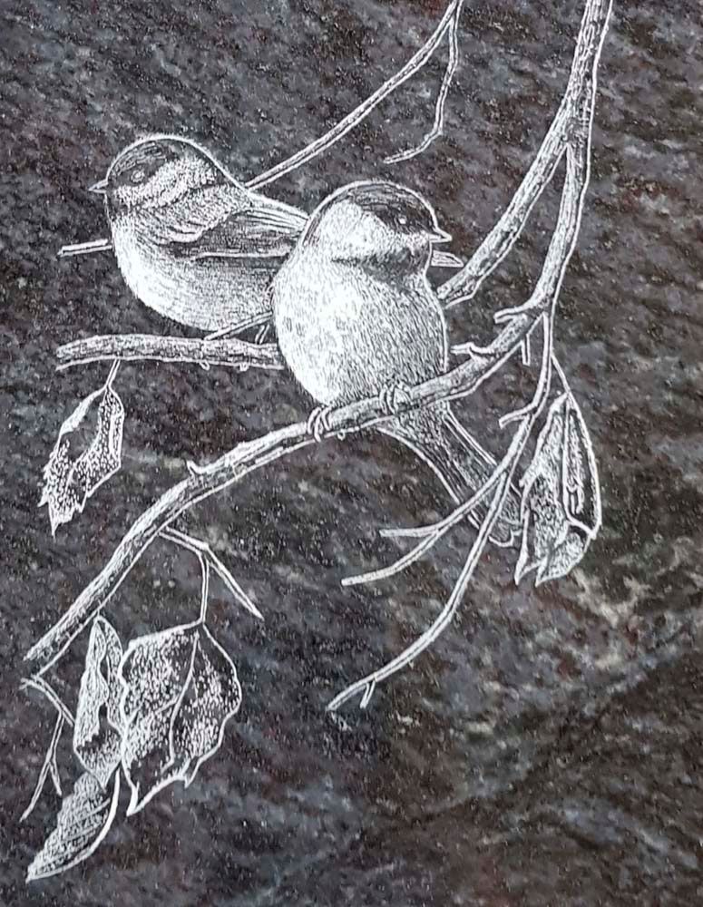 Ein Vogelpaar sitzt auf einem Ast mit Blättern.