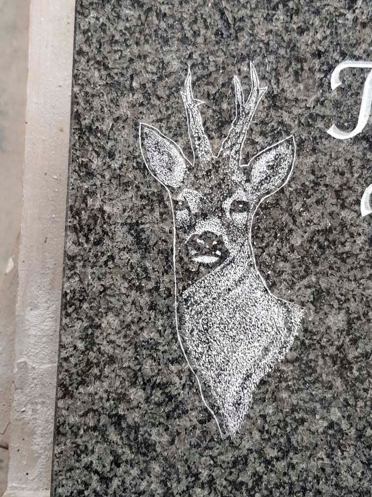 Eine schwarz-weiße Zeichnung eines Hirsches auf einer Granitoberfläche.