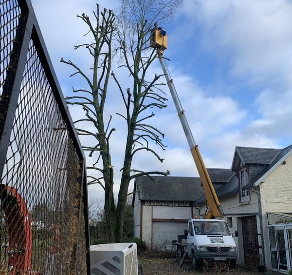 Une nacelle élévatrice montée sur camion élague deux grands arbres dénudés à côté d'un bâtiment par temps nuageux.
