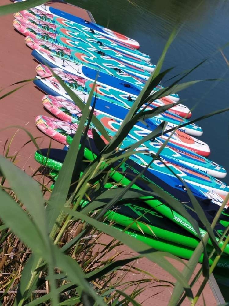 Una fila de tablas de surf están alineadas al lado de un cuerpo de agua.