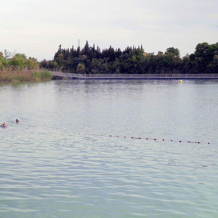 Una persona está nadando en un lago con árboles al fondo.