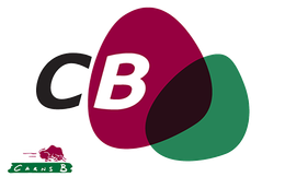 Logotipo de CB con formas superpuestas en negro, magenta y verde y el pequeño texto “CAANS B” debajo.