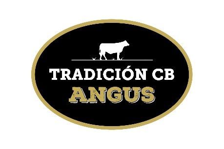 Logotipo ovalado negro con borde dorado y silueta de vaca blanca con la inscripción “TRADICIÓN CB ANGUS”.
