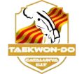 Un logotipo de taekwondo con una bandera.