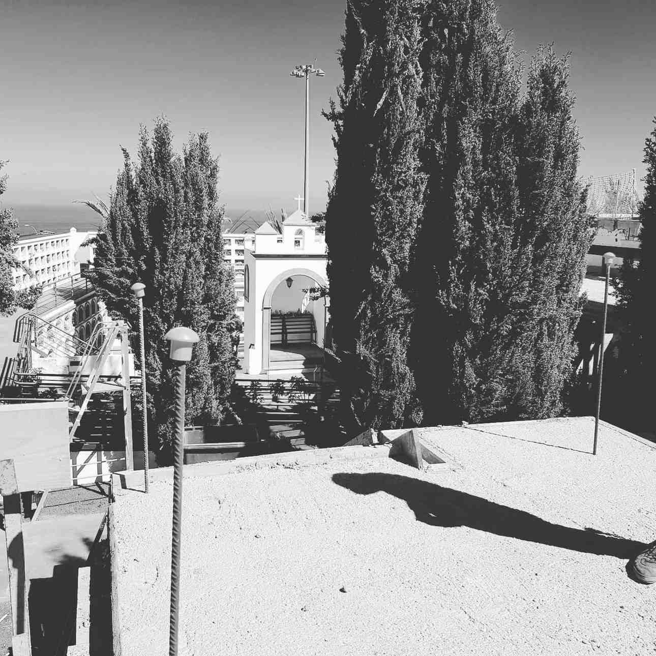 Vista en blanco y negro de un patio con árboles altos, una farola y un edificio arqueado al fondo.