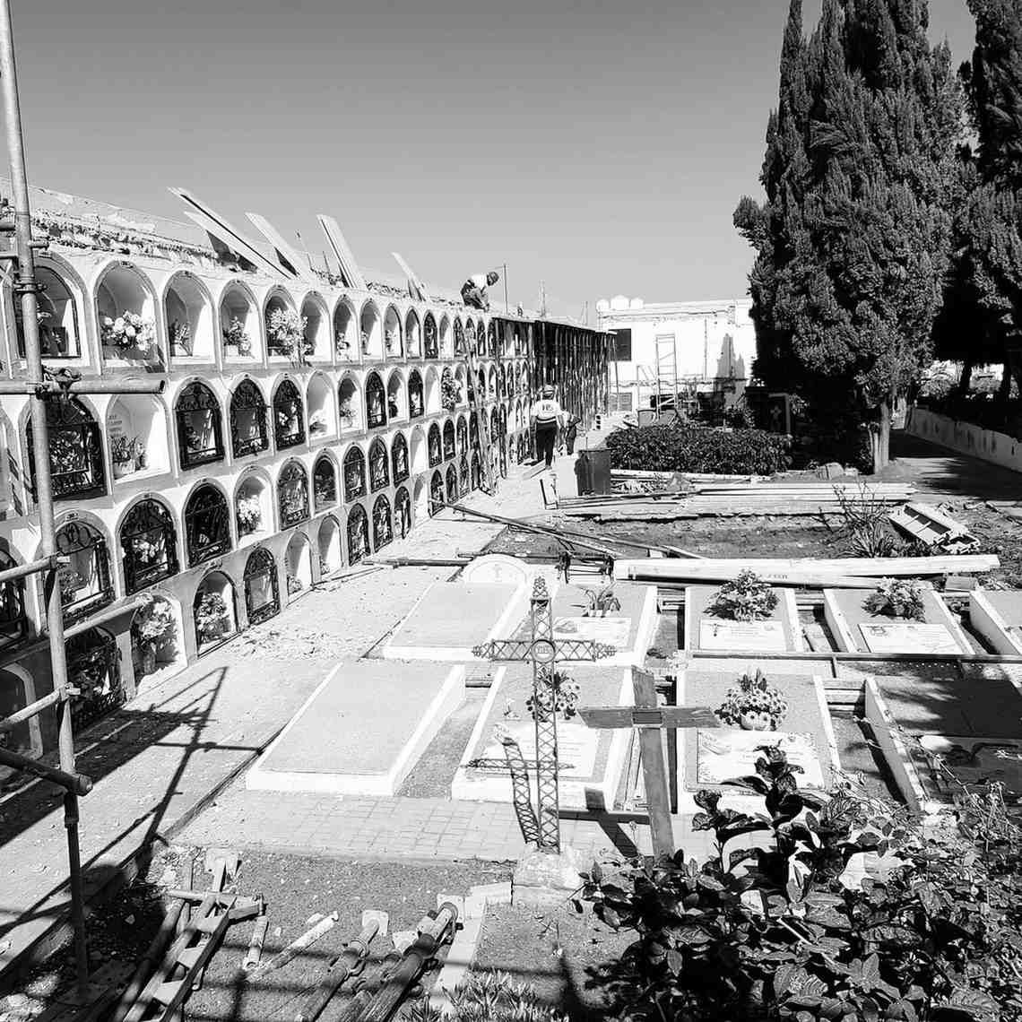 Vista en blanco y negro de un cementerio con hileras de mausoleos, tumbas y árboles altos bajo un sol brillante.