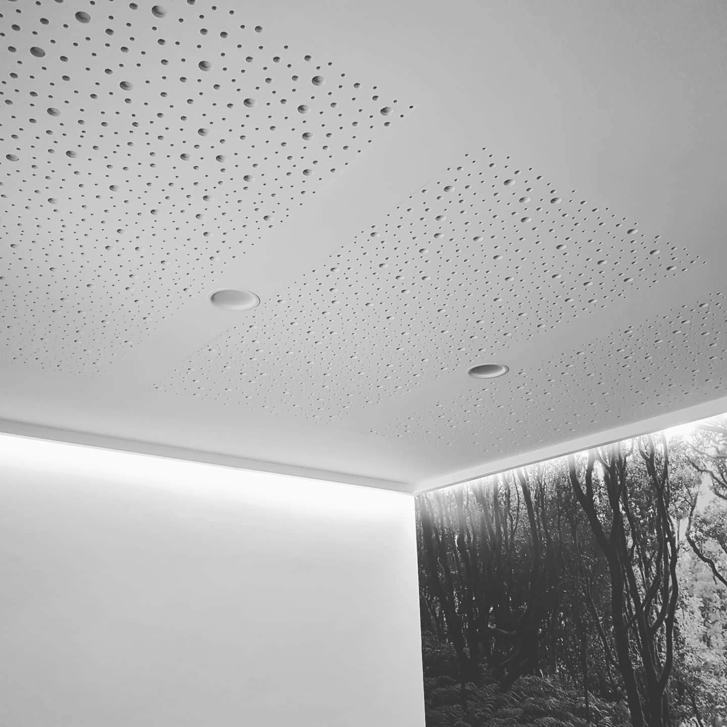 Techo blanco perforado sobre una luminosa ventana esquinera con árboles en el exterior.