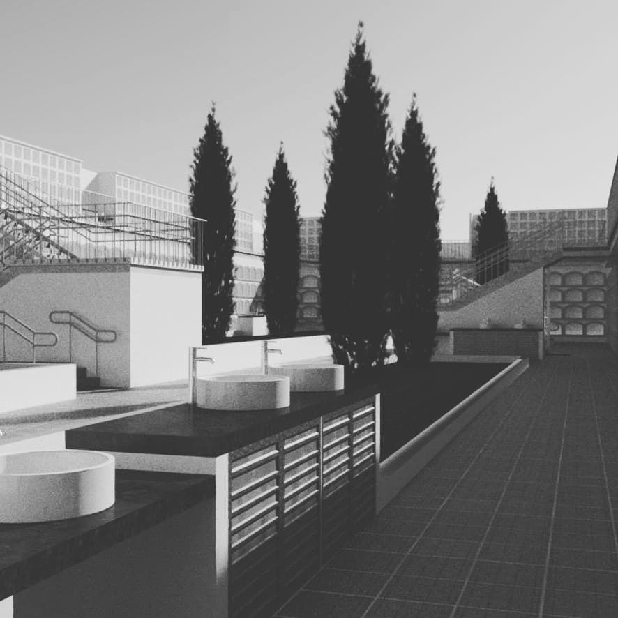 Terraza en la azotea en blanco y negro con tumbonas, altos cipreses y edificios modernos al fondo.