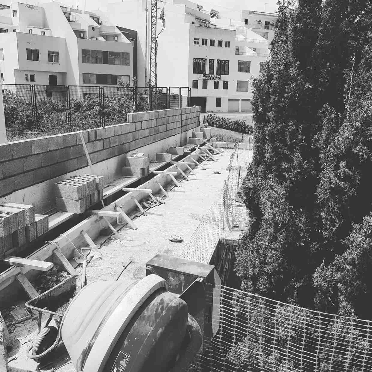 Terraza en la azotea con filas de tumbonas, un edificio blanco y árboles altos al fondo.